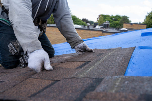 Best Roof Maintenance Services  in West Siloam Springs, OK